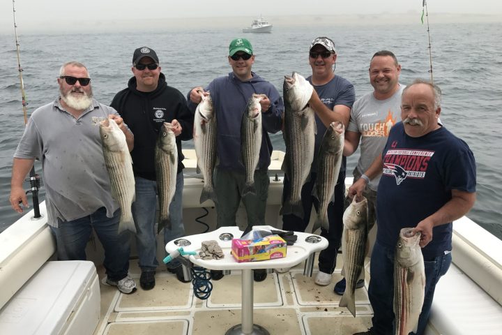 a group of people standing next to a fish in the water