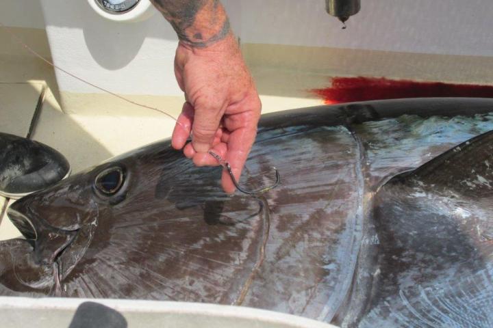 a man is cutting into a fish in the water