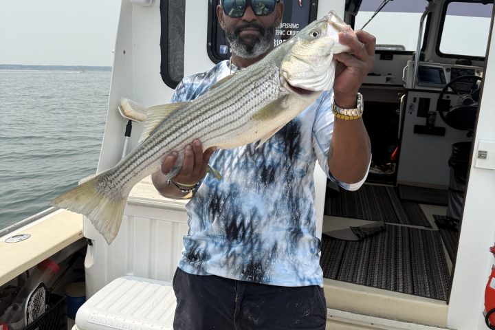 Person holding a large fish on a boat labeled 'Plymouth Charters' with ocean in the background.