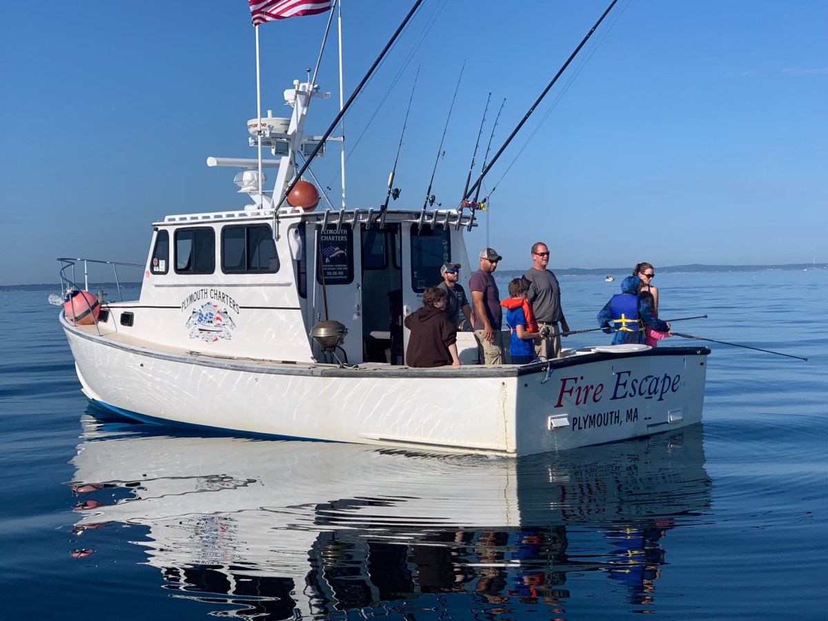 a boat is docked next to a body of water