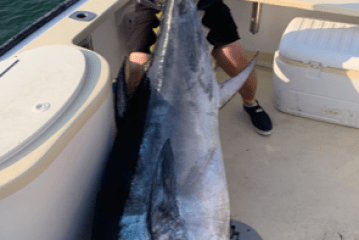 a person holding a fish on a boat in the water