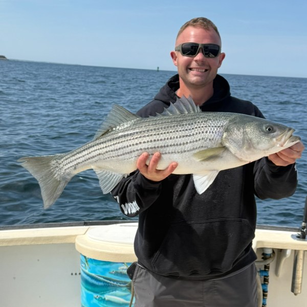 Man on boat holding a large striped bass, smiling at the camera.