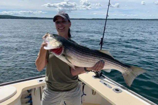 Person on a boat holding a large striped bass with a fishing rod in the background.