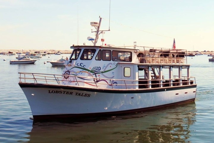Tour boat 'Lobster Tales' on calm water, with distant boats and shore in background.